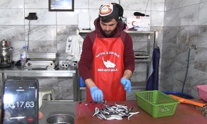 Balıkçılar sosyal medyada hamsi temizleme yarışması yapıyor