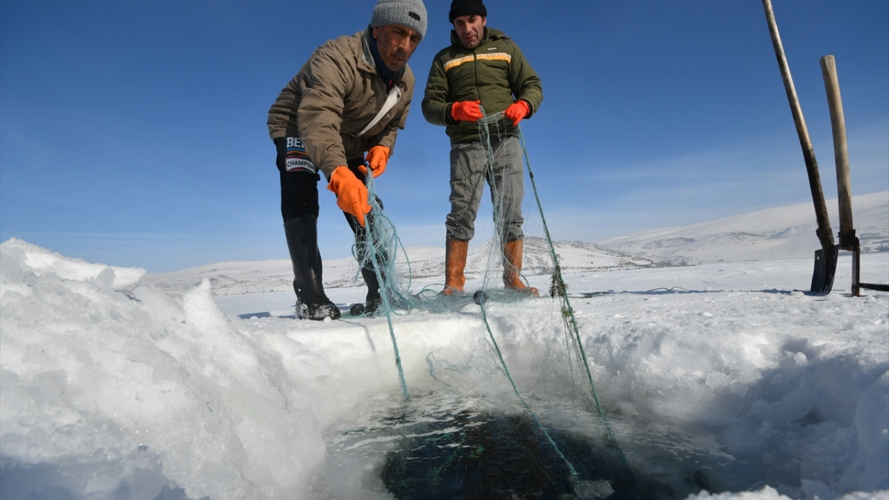 Kazma ve küreklerle buzu kıran balıkçılar ağlarını buzul altına bırakıyor. Yaklaşık 1 hafta ağları suda kalan balıkçılar havanın güzel olduğu bir günde buz altındaki ağları çekiyor. 
