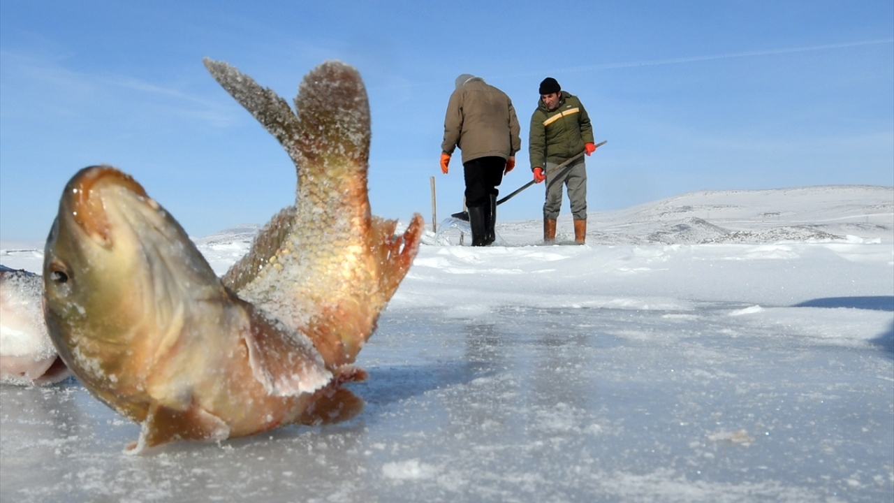 "Donan gölde Eskimo usülü balık avlıyoruz"