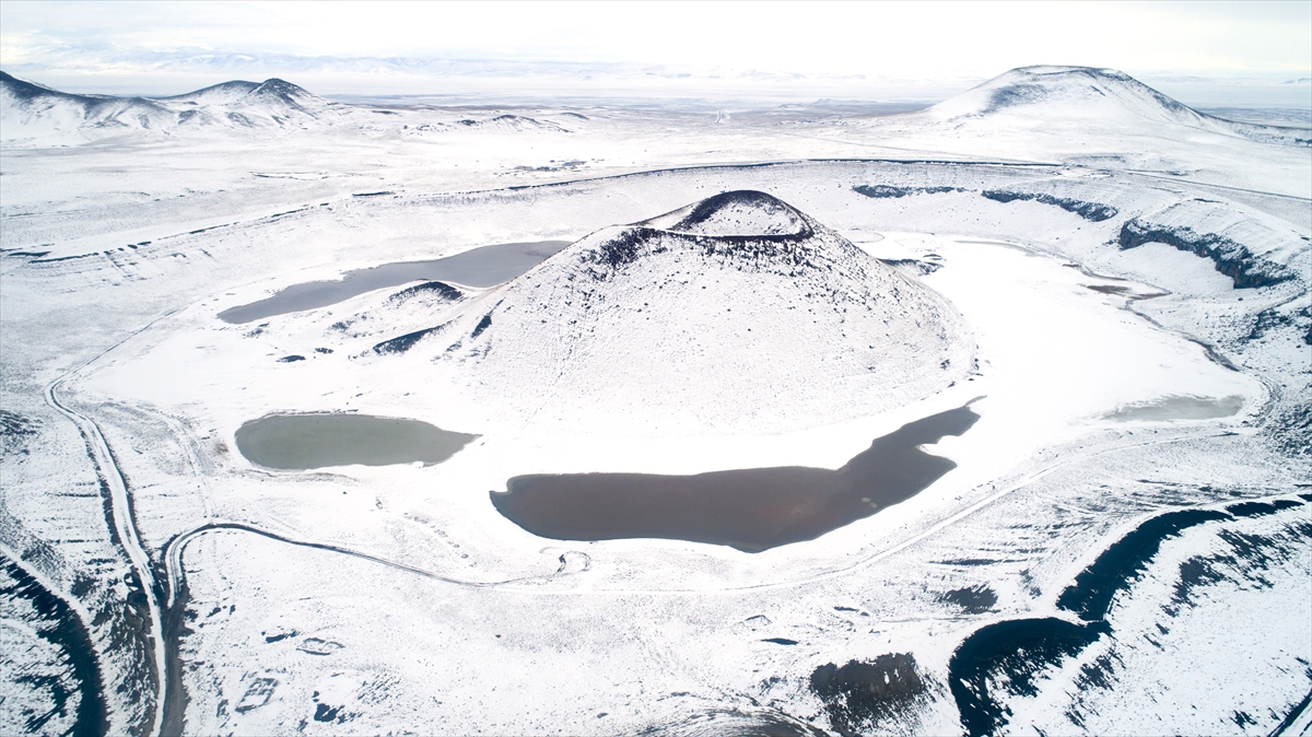 "Orman projeleri ümit verici"