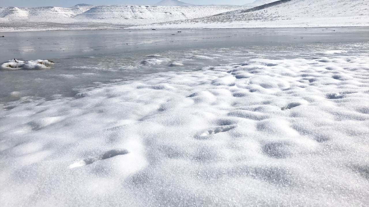 "Tarımsal politikalar üretmemiz gerekiyor." dedi. 