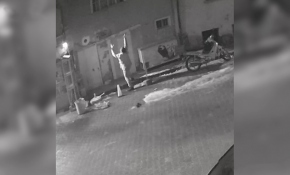 Gazete dağıtıcısı, Afgan ailenin hayatını kurtardı