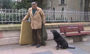 Simitçi Muammer amca ve sokak köpeği Zeytin'in dostluğu
