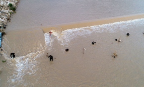 Buse, aracın içini kontrol etmek isterken sele kapıldı