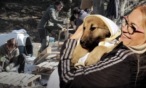 Anne şefkati patilere park oldu