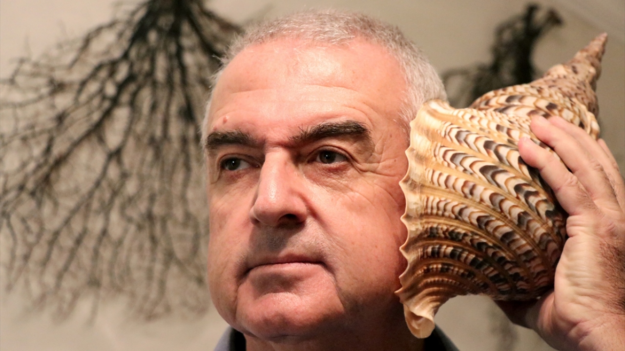 Denizin derinliklerine inildikçe ve dipler karıştırıldıkça yeni yeni deniz kabuğu türleri ortaya çıktığını vurgulayan Özer, şöyle devam etti: