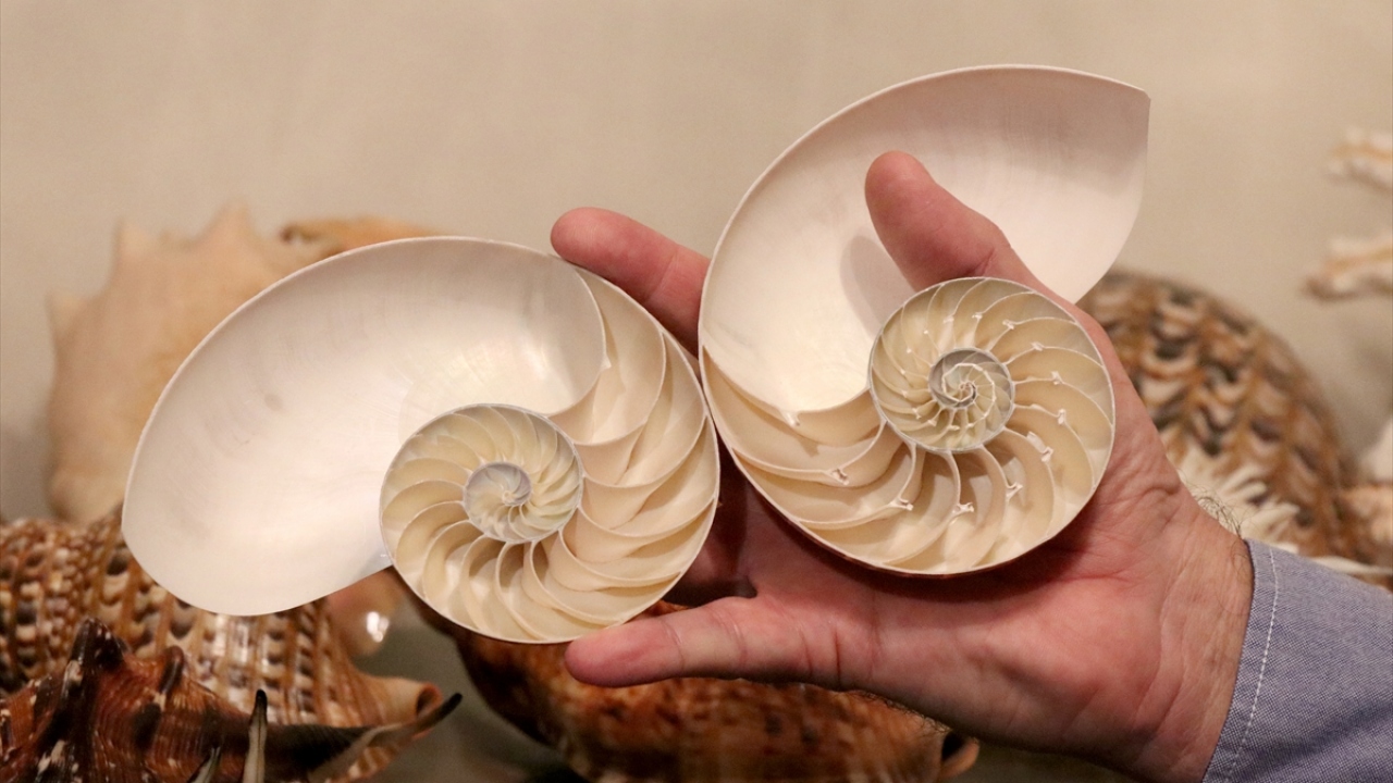 Yaklaşık 7 yıl önce bankadan emekli olan 58 yaşındaki Özer, seyahat etmeyi sevdiğini anlattı.