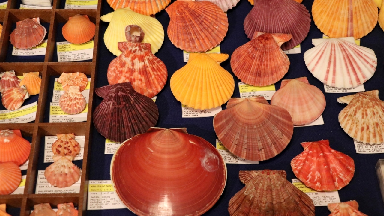 "23 yıldır bu hobim devam ediyor."