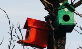 Akyazı sokakları rengarenk kuş yuvalarıyla süslendi