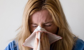 Bulgaristan'da grip salgını nedeniyle eğitim durdu