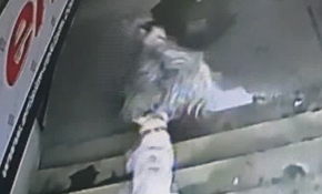 Lokantada sahibiyle yemek yiyen keçiye köpek saldırdı