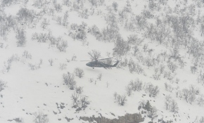 Aç kalan yabani hayvanların imdadına Mehmetçik yetişti