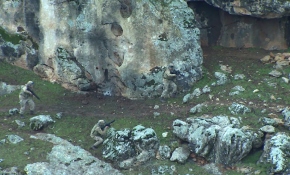 Jandarma komandolar dağlarda operasyonda