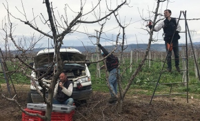 Çiftçiler hem çifte telli oynadılar hem çalıştılar