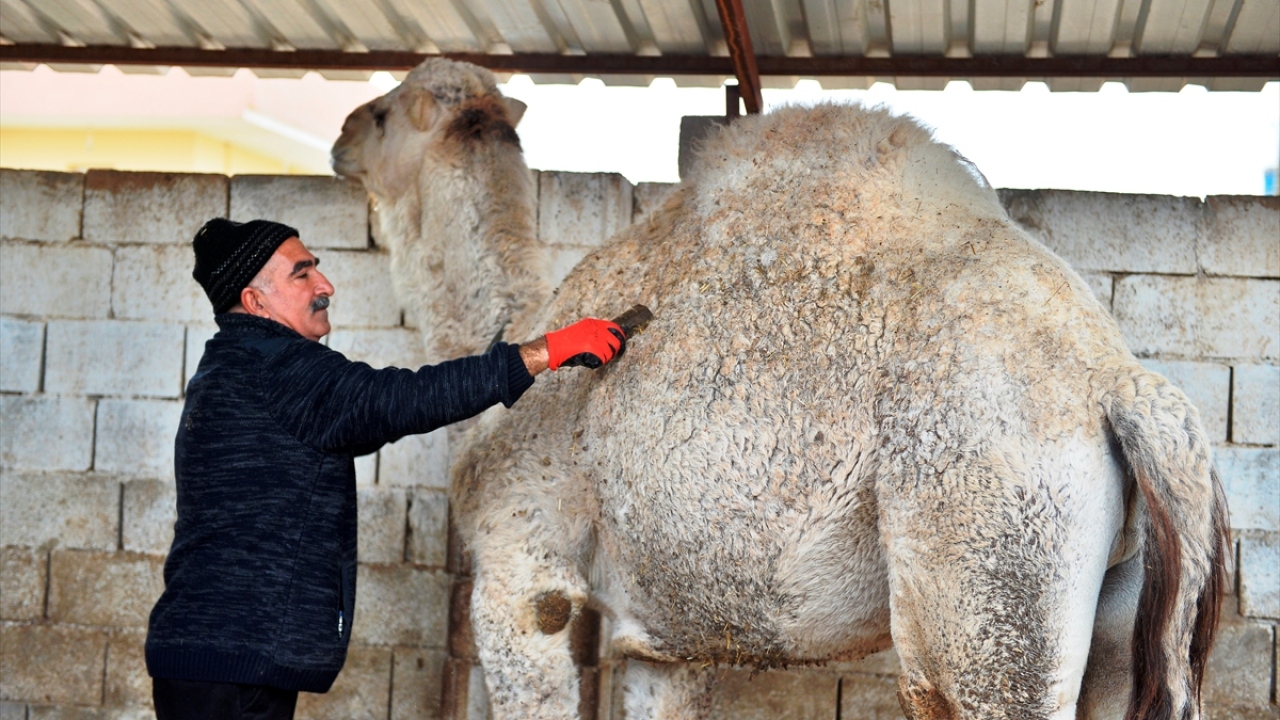 "Bazen onlarla konuşuyorum"