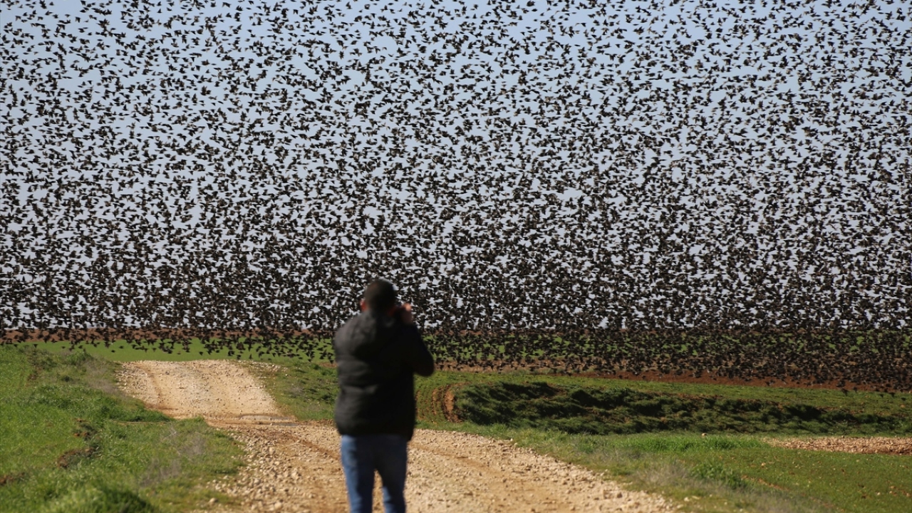 Görsel şölene tanık olan fotoğraf tutkunları bu anı ölümsüzleştirmek için oluşan manzarayı kaydetti.