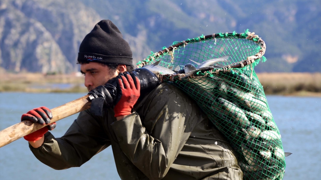 "Rahatlıkla yurt dışına ihracat gerçekleştiriyoruz.