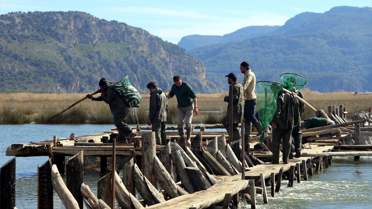 Önceki yıllarda yurt dışına ürünlerini çeşitli firmalar aracılığıyla gönderdiklerini anlatan Yalılı, bu ay işletme ve ihracat belgesi aldıklarını artık yurt dışına ürünlerini kendilerinin ihraç edeceğini aktardı. 