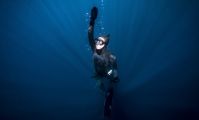 Milli sporcu Şahika Ercümen'den Antarktika'da tarihi dalış