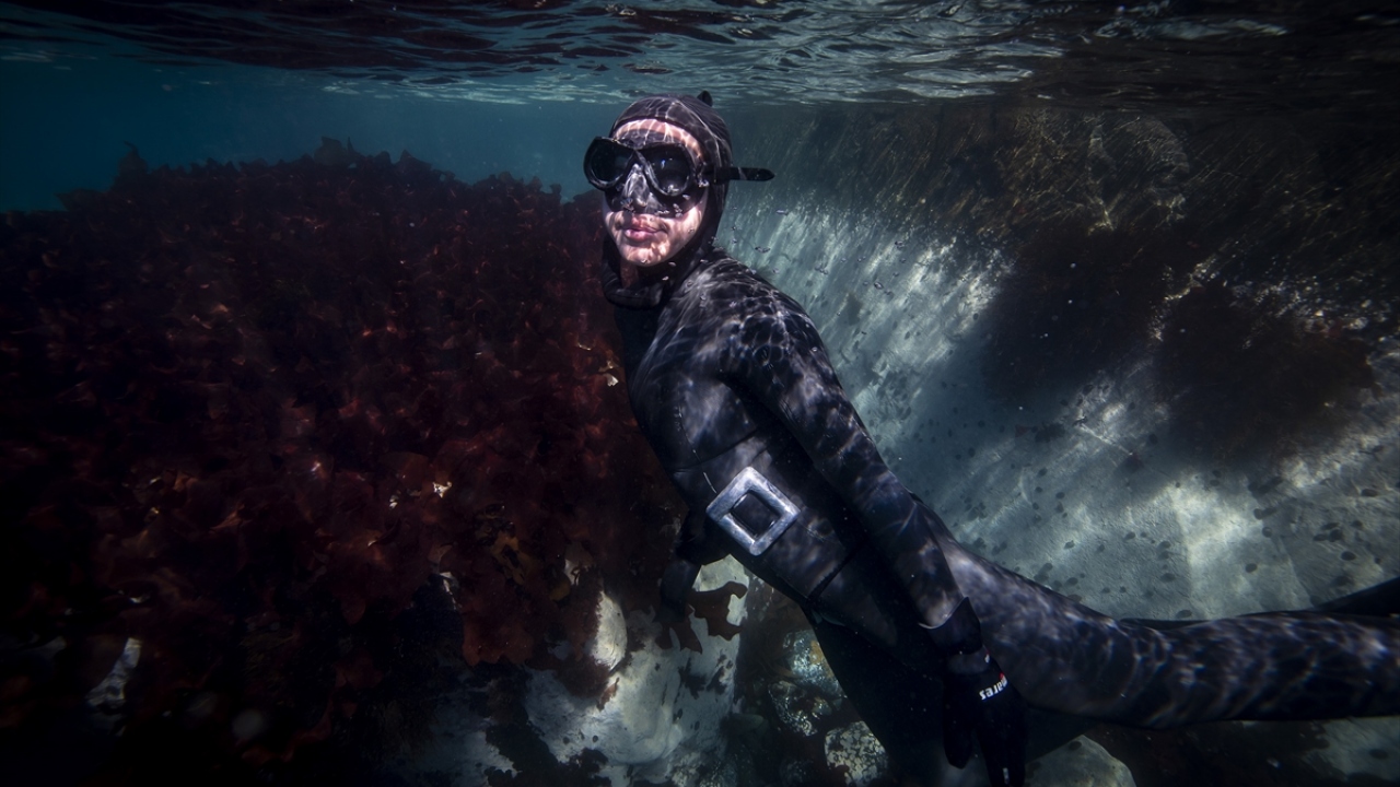 Zodyak botla dalış noktasına gelen Ercümen, su sıcaklığının 0 derece olduğu bölgede dalışını gerçekleştirdikten sonra su altında keşif yaptı.