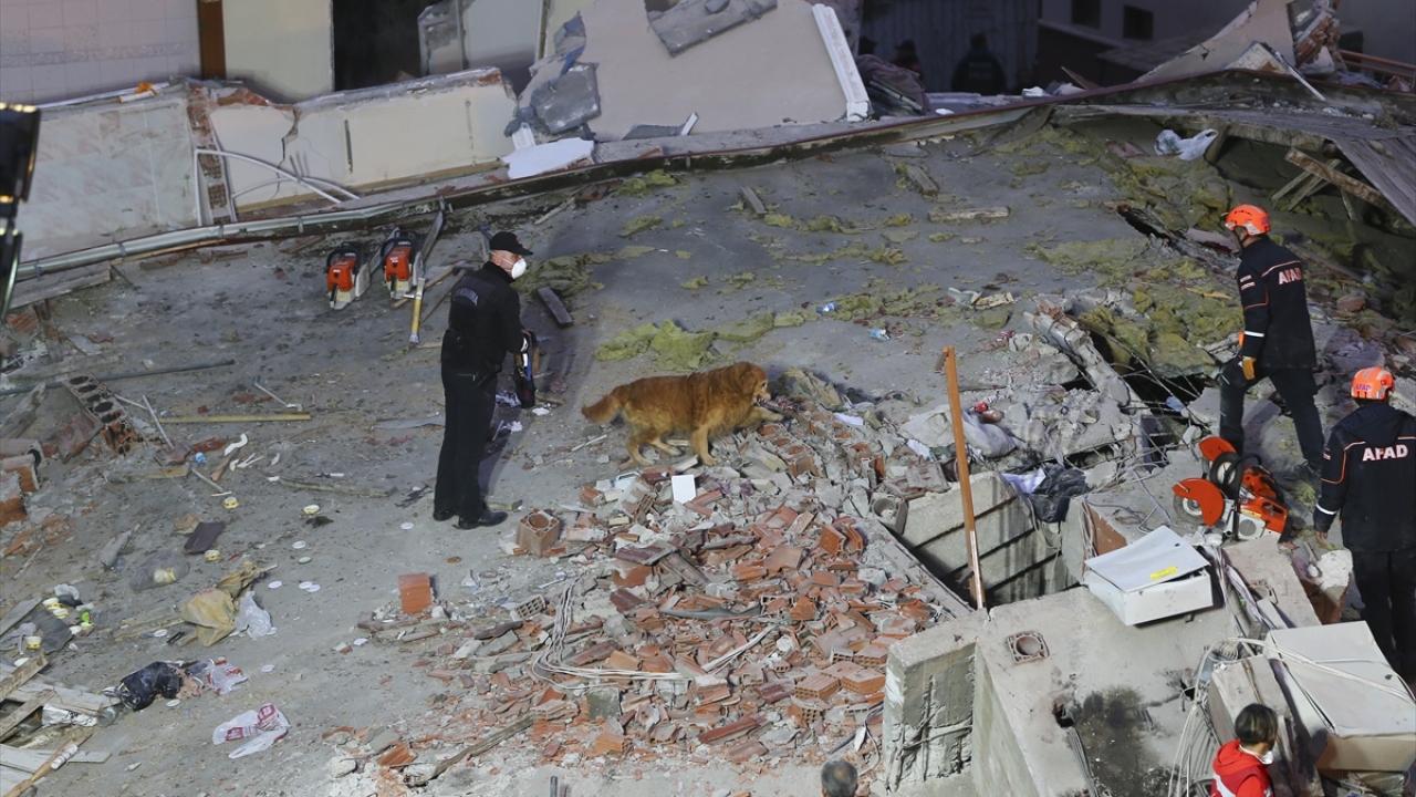 Ekiplerin arama kurtarma çalışmalarına AFAD`ın eğitimli köpekleri de katıldı.