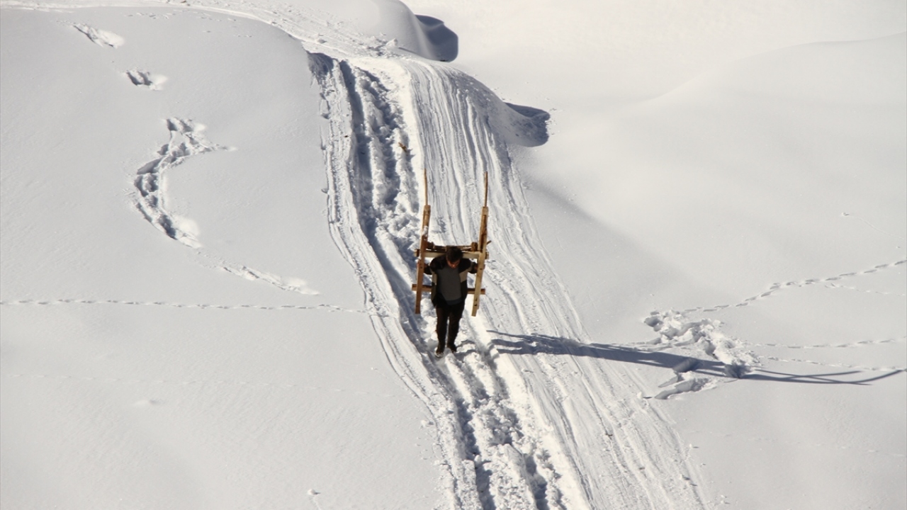 Hizan ilçesine 20 kilometre mesafedeki Yoğurtlu köyünün sakinleri, hayvanlarını beslemek için sonbaharda yüksek kesimlerde kesip biriktirdikleri meşe dallarını, kışın karla kaplı bölgede kızaklarla köye getiriyor. 