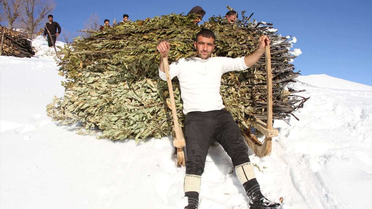 Köy sakinlerinden Maşuk Karabaş ise çığ tehlikesine aldırış etmeden hayvanları için yiyecek taşıdıklarını dile getirerek, "Kullandığımız kızaklar da tehlikeli ama buna rağmen taşıyoruz. Hayat şartları zor." diye konuştu. 