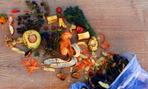 Dünyanın çöpe attığı hazine