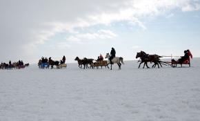 Çıldır Gölü'nde "kış şöleni"