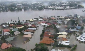 Avustralya'daki selde 300 bin sığır telef oldu