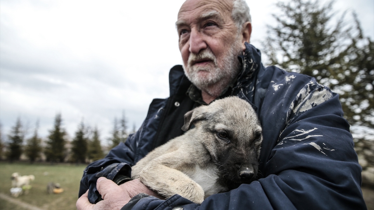 Haftanın bazı günleri özellikle kırsal alanları dolaşan Akçay, beslenme imkanı bulamayan hasta ya da yaralı köpekleri aracına alarak, Gölbaşı ilçesinde hayvanseverlerin de desteğiyle oluşturduğu, "yaşam alanı" olarak nitelendirdiği barınağa getiriyor.