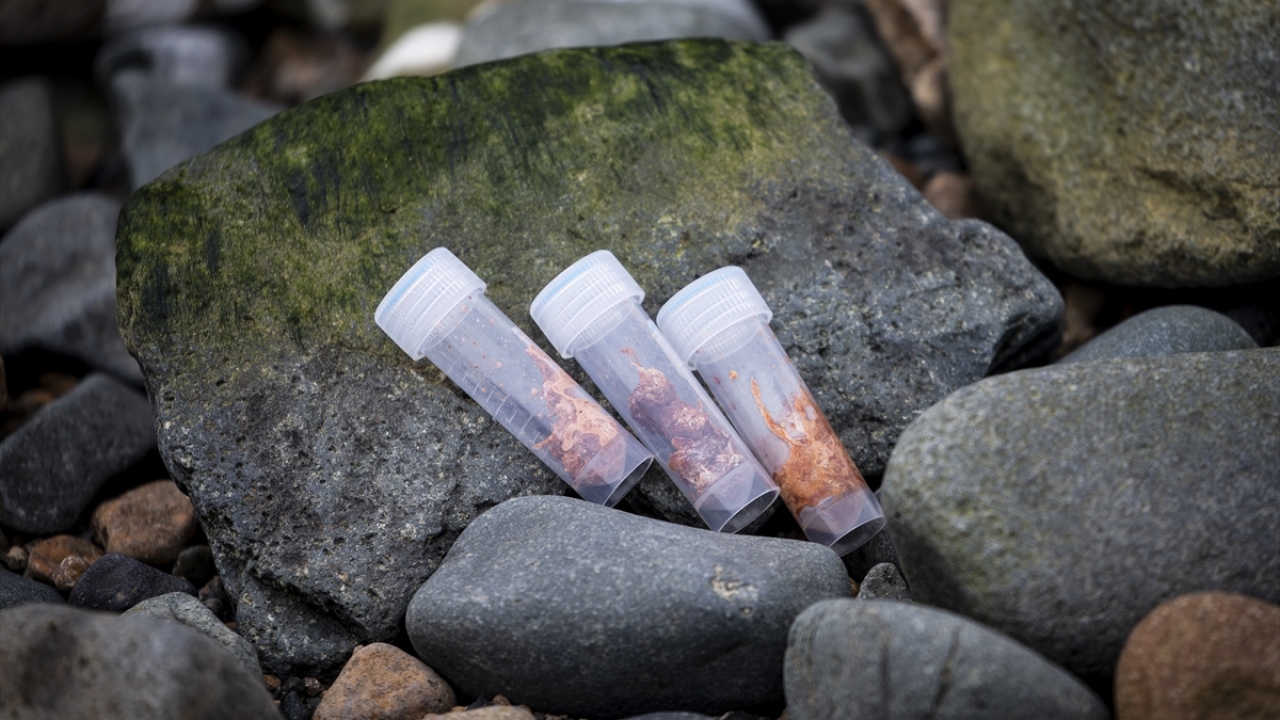 Sefer kapsamında, İstanbul Teknik, Karadeniz Teknik, Orta Doğu Teknik, Niğde Ömer Halisdemir, Hitit, Bahçeşehir, Boğaziçi, Ondokuz Mayıs ve İstanbul üniversitelerinin bilimsel araştırma projelerine yönelik çalışmalar yoğunlaştı.  