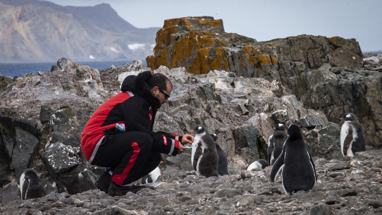 3. Ulusal Antarktika Bilim Seferi`ne katılan bilim insanları, kutup biyoçeşitliliği, canlı bilimleri, ekoloji ve deniz bilimleri gibi farklı alanlardaki çalışmalarını "beyaz kıtaya" taşıdı.