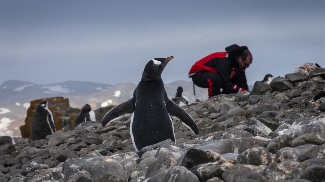 Karadeniz Teknik Üniversitesi Deniz Bilimleri Fakültesi Öğretim Üyesi Prof. Dr. Ersan Başar, sefer kapsamında iki bilimsel araştırma projesi için kıtadan örnekler aldığını söyledi. 