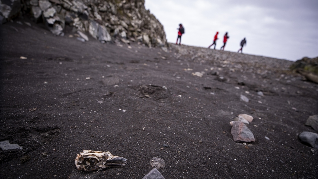 "Bitkilerde biyoçeşitliliği çalışmak istiyoruz"