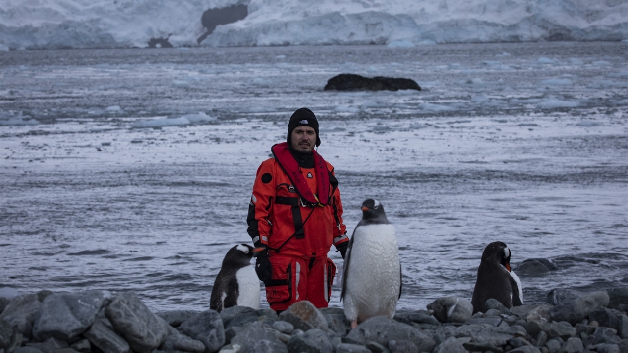 Antarktika`daki deniz kabuklarından kirliliğin izini sürüyor