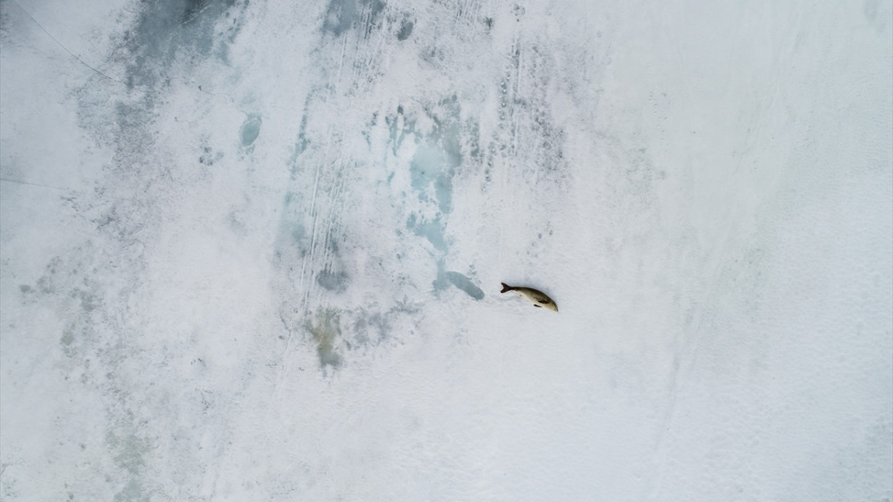 Antarktika, dünyanın en soğuk, rüzgarlı ve kurak kıtası olarak tanımlanıyor. Kıtada rüzgarın hızı saatte 327 kilometreye kadar çıkabiliyor.