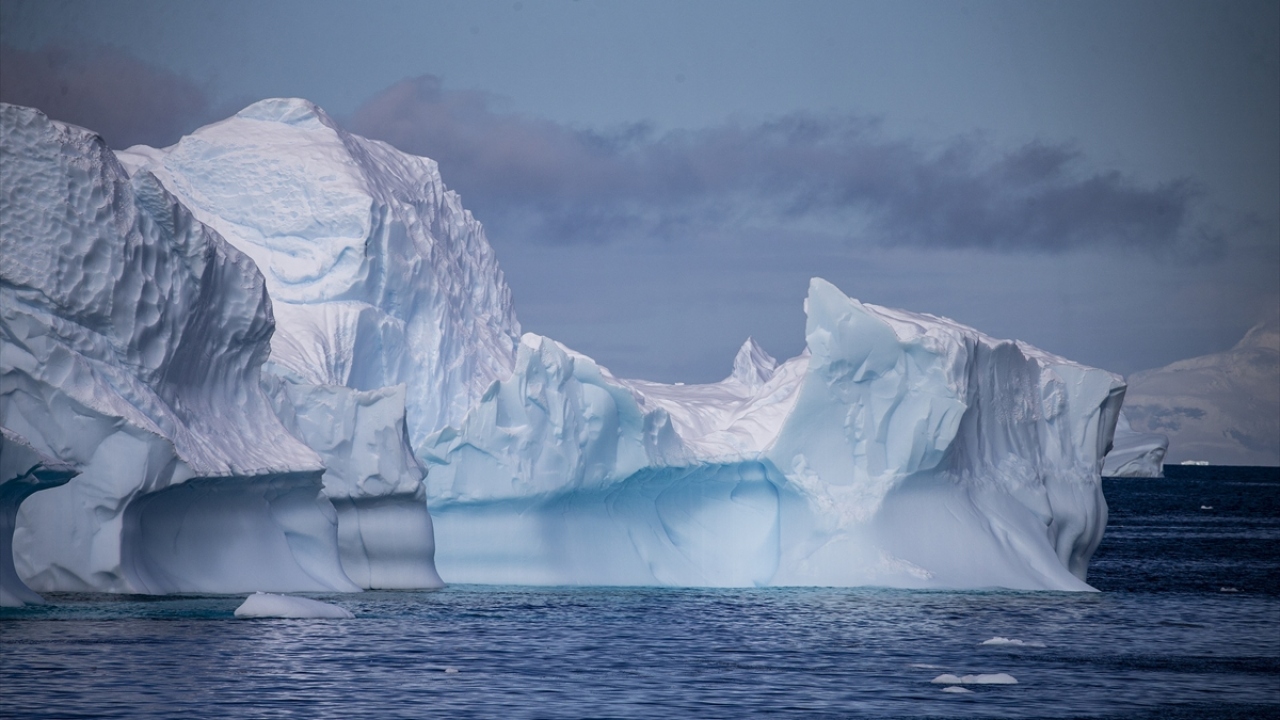 Deniz buzları iklim sistemini dengelerken, besin zincirinin başlangıcı olan alglerin birikimini sağlıyor, çeşitli canlılara yuva ve üreme alanı oluyor.