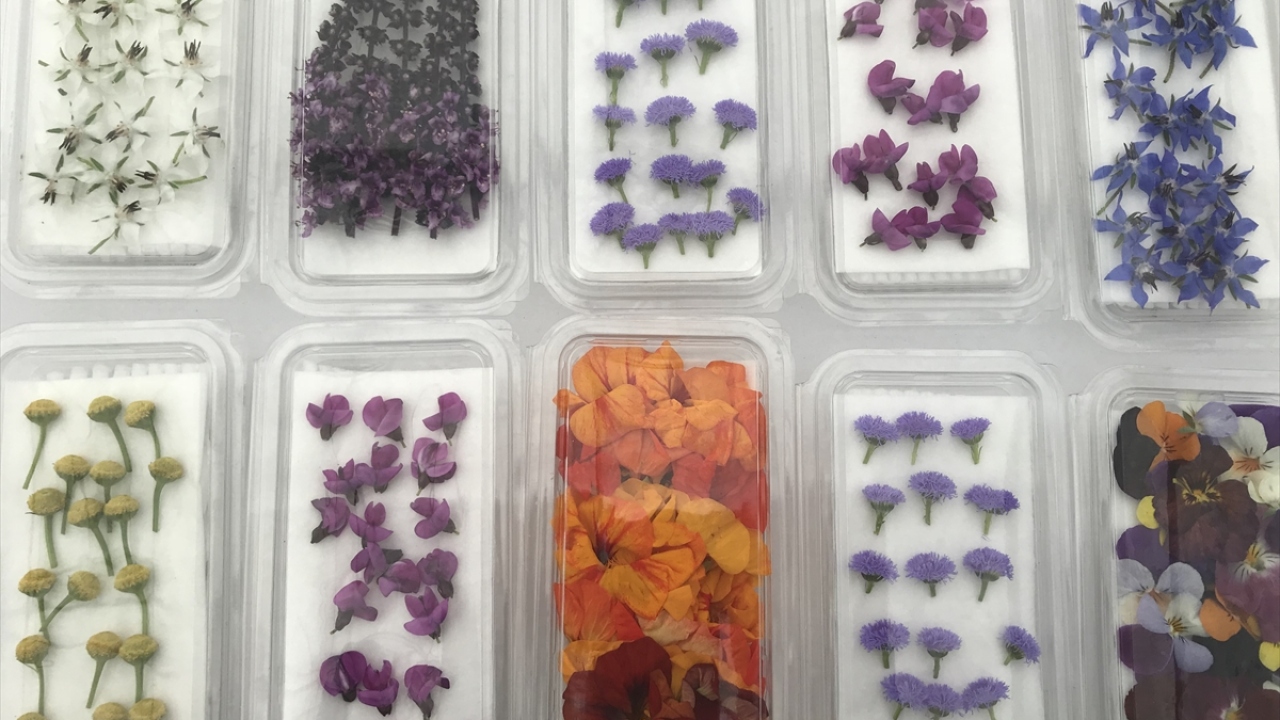 "Bizden daha fazla çeşit üretmemizi istiyorlar."