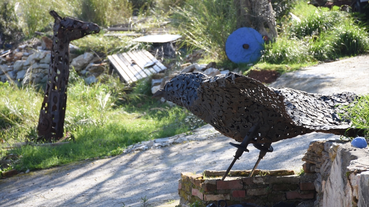 Kuşu Endonezya`da görmüş