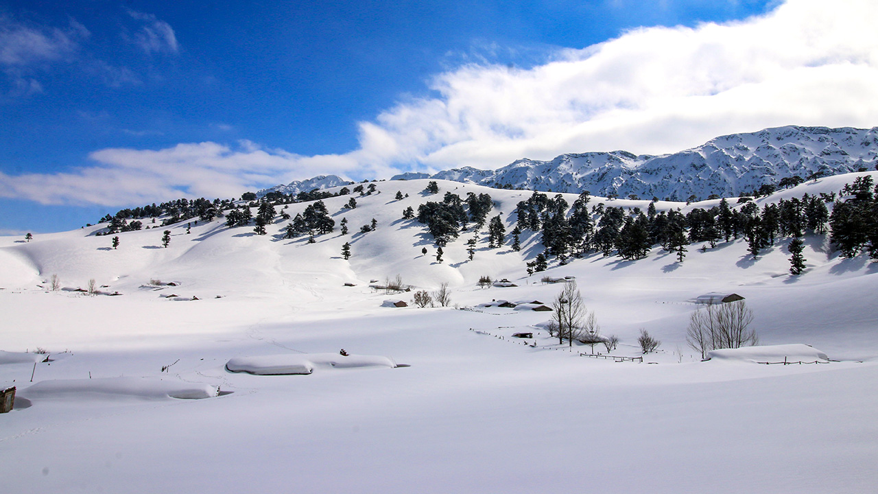 Fotoğraf ve doğa tutkunları, ilçe merkezine 27 kilometre uzaklıktaki Karakışla Yaylası`nda hem bölgenin doğal güzelliklerini görme fırsatı yakalıyor hem spor yapıyor hem de fotoğraf çekiyor.