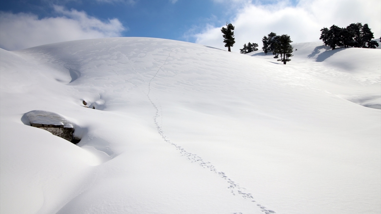 Fotoğraf tutkunu ve doğasever Turgut Karabacak, yaptığı açıklamada, Karakışla Yaylası`nın doğaseverlerin gözdesi olduğunu söyledi.