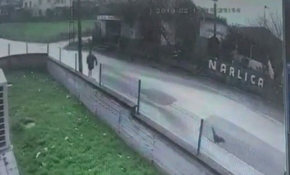 Horozla çocuk arasında güldüren kovalamaca