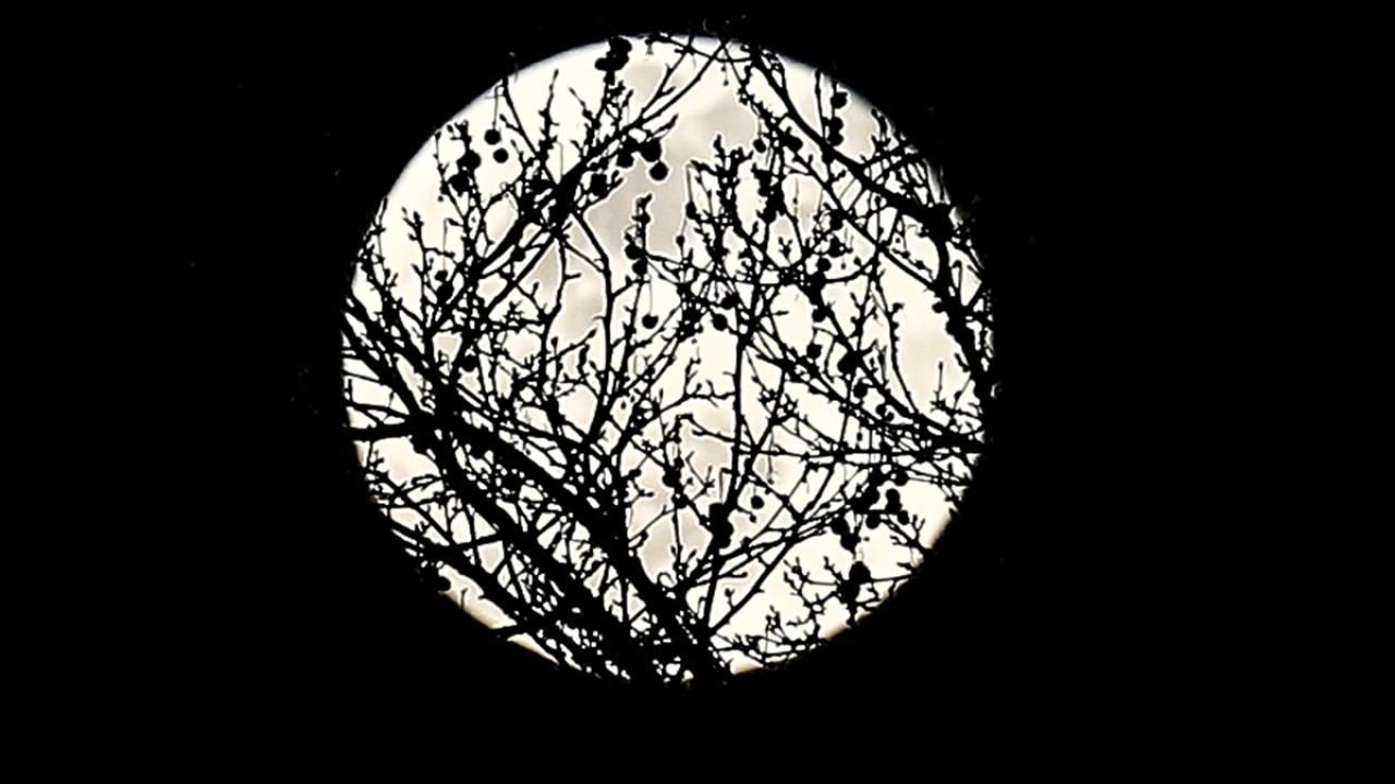 Başkentte "Süper Ay"