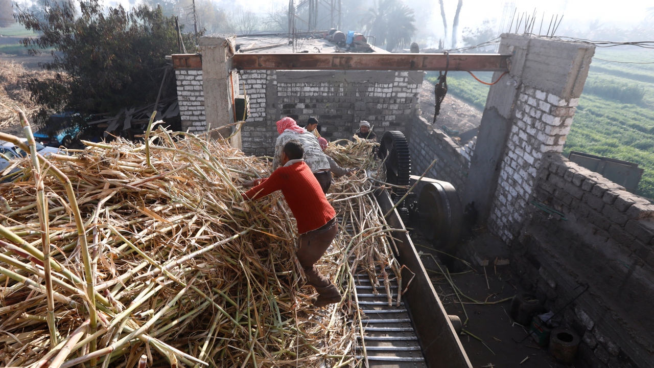 İşçiler, Mısır`daki küçük bir fabrikada çalışmalara başlıyor.