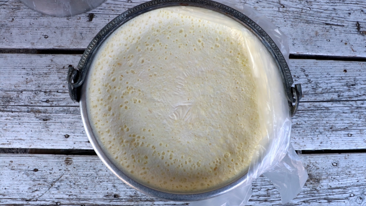 Köylerde özenle hazırlanan ve sabahın ilk ışıklarıyla aracılar tarafından evlerden toplanan yoğurt kovaları, vatandaşın sofralarına ulaştırılması için servislerle kent merkezine getiriliyor.