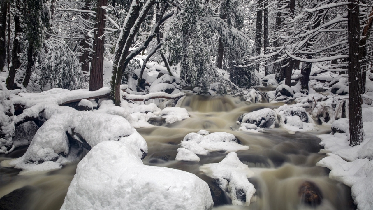`Sadece 6 dakika kadar süren bu doğa olayının ise 22 Şubat Cuma günü son bulması bekleniyor.