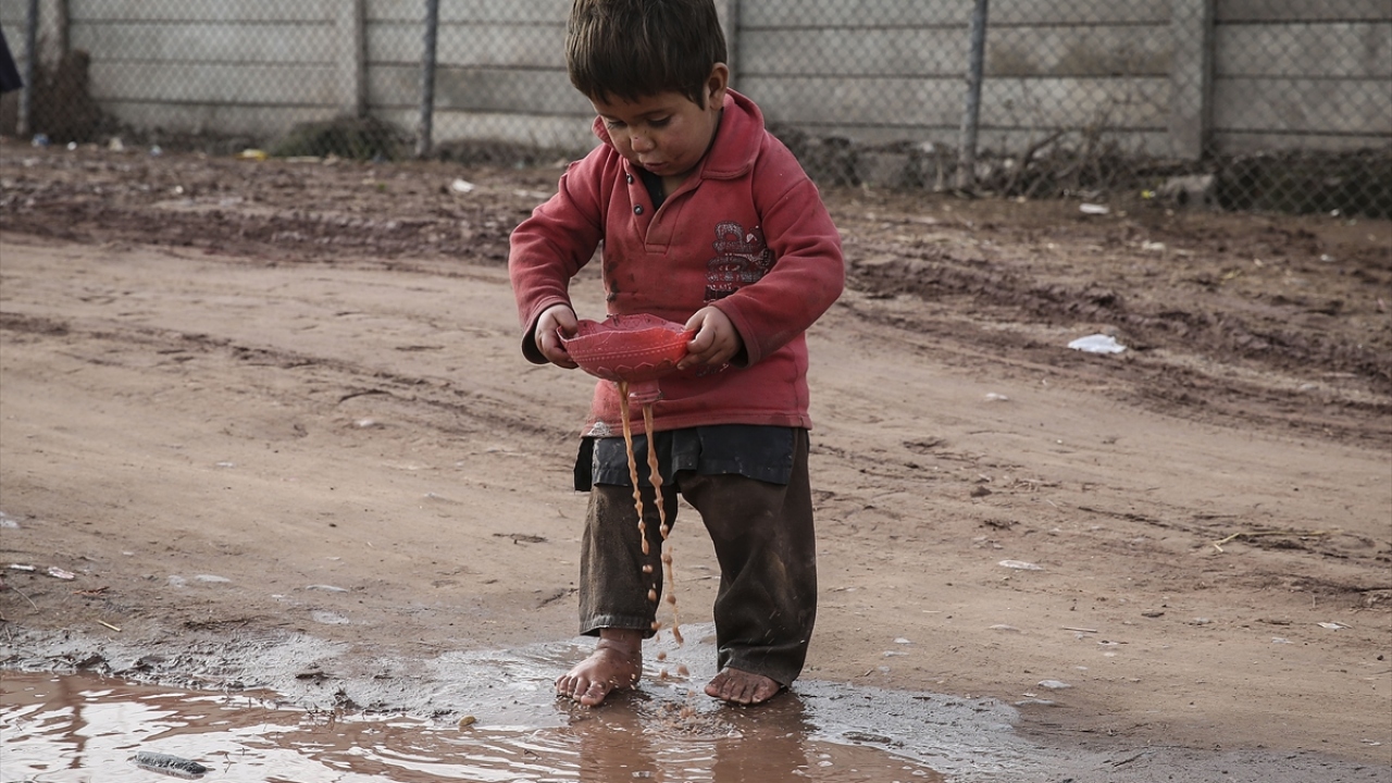 Kampta hayvan besleyen bazı mülteciler hayvanlarla aynı ortamda kalıyor. 