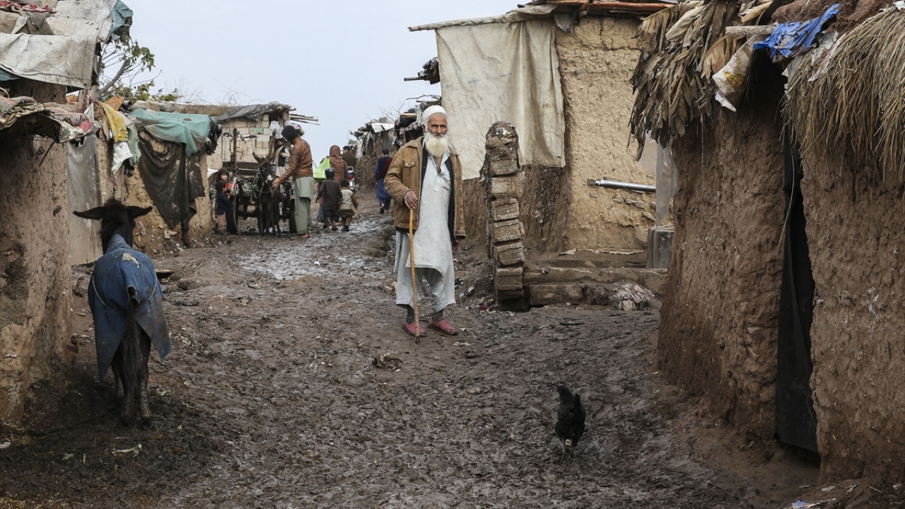 Vatandaşlık sözü verilmişti