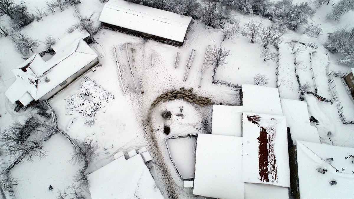 Kar yağışı Demirköy, Kofçaz, Vize ilçeleri ile Bulgaristan`a ulaşım sağlanan Dereköy Sınır Kapısı civarında etkisini sürdürüyor.